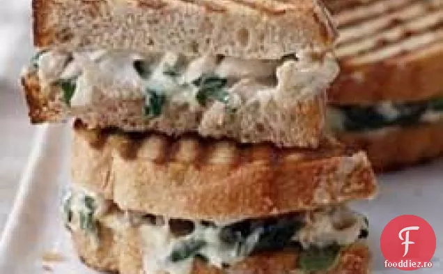 Alfredo Florentin Chicken Panini