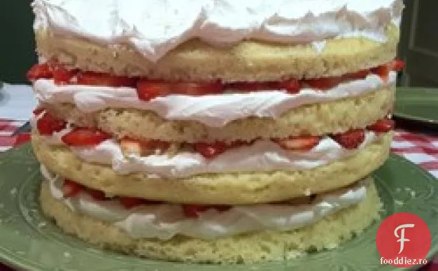 Zară Strawberry Shortcake