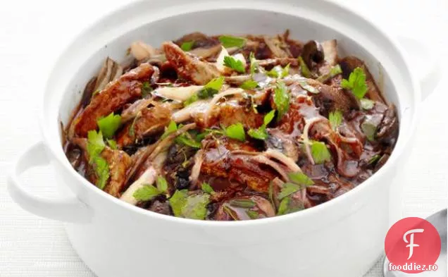 Carne de porc și fenicul Ragout