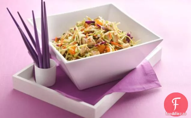 Salată De Pui Chinezească Scoopabilă