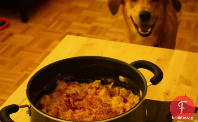 Curry De Conopidă