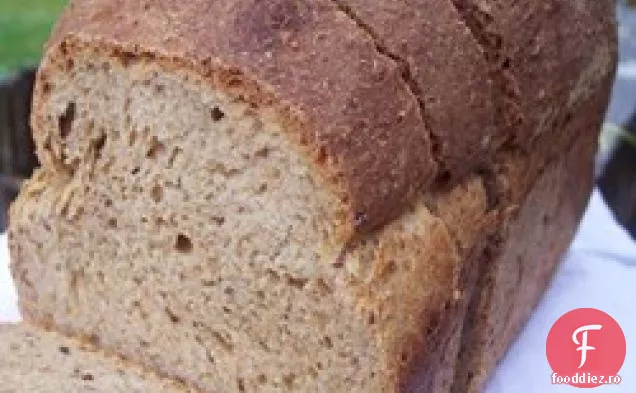 Pâine Sandwich Cu Secară De Grâu De Muștar