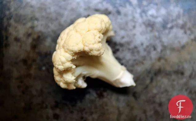 Conopidă Prăjită