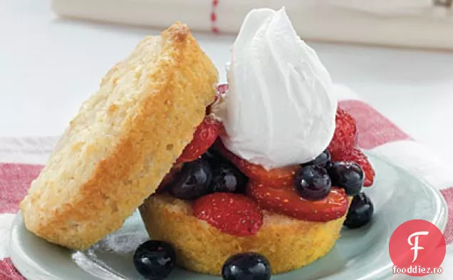 Torturi de burete de vanilie cu umplutură proaspătă de fructe de pădure