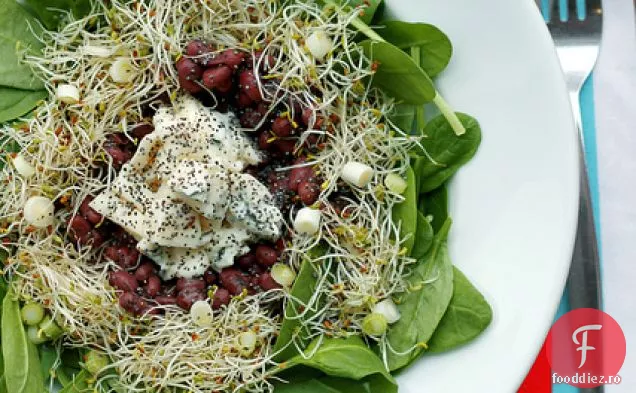 Fasole Adzuki, Brânză Gorgonzola Și Varză De Lucernă