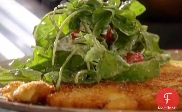 Paillard de pui cu salată cremoasă de parmezan