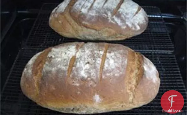 Pâine Germană Autentică (Bauernbrot)