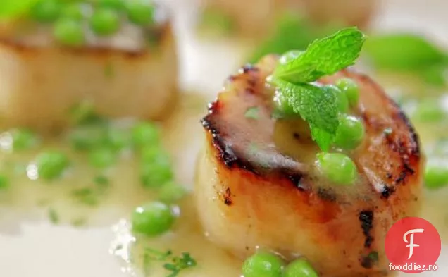 Scoici caramelizate cu vinetă proaspătă de mazăre verde