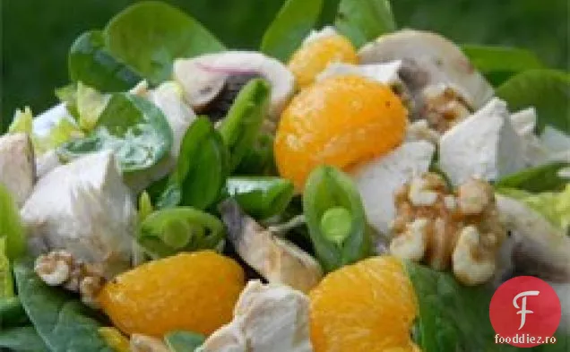Salată de curcan și citrice