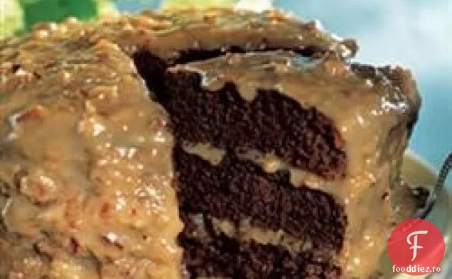 Germană Glazura Tort De Ciocolata