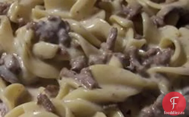 Stroganoff Simplu De Vită