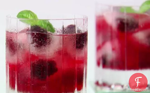 Blackberry Spritzer