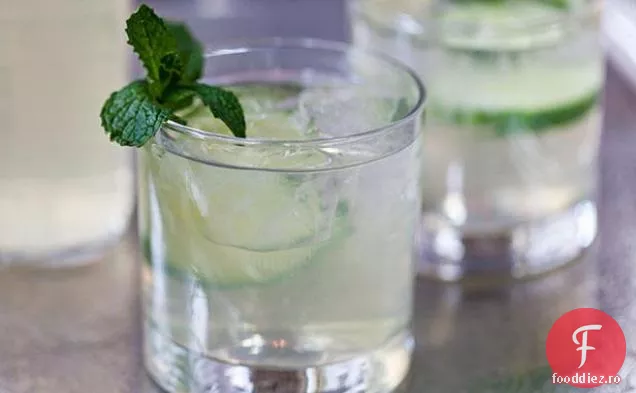 Make-Ahead Castravete-Elderflower Sangria