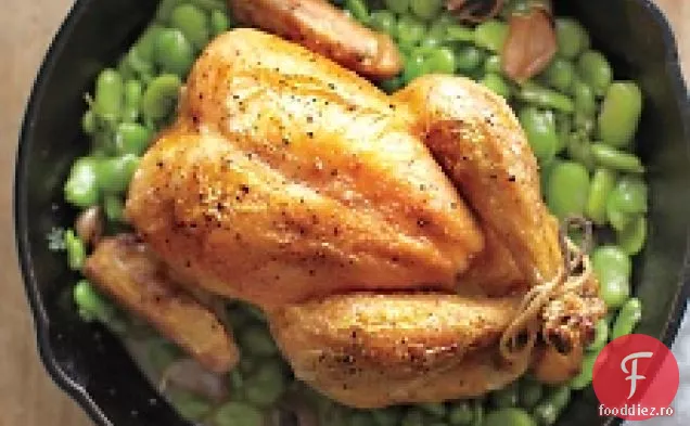 Pui Fript Cu Fasole Fava