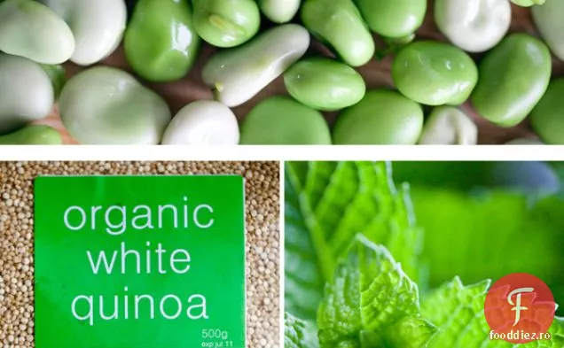 Salată De Quinoa Cu Favas Și Lămâie Conservată