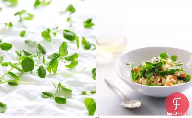Risotto De Primăvară