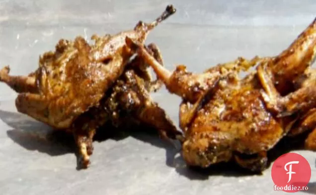 Prepeliță Texas La Grătar