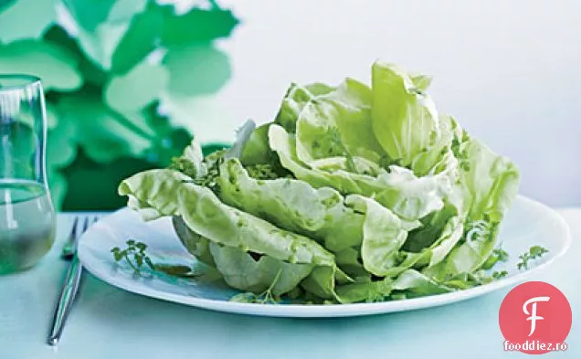 Salată de salată Boston cu ierburi
