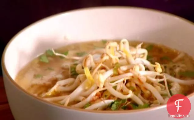 Supă de tăiței de porc și Udon