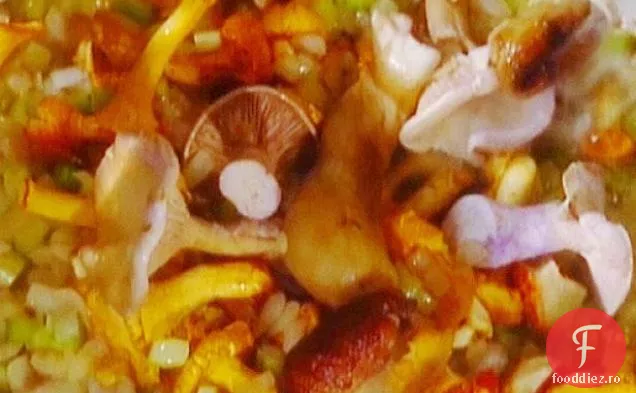 Funghi di Bosco în Umido: Ragu de ciuperci