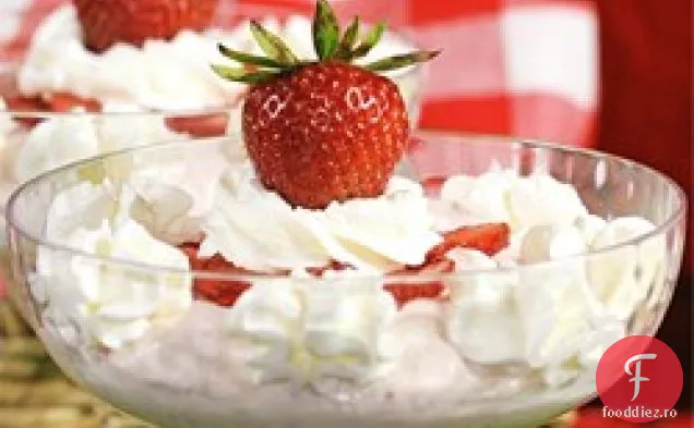 Mousse De Citrice