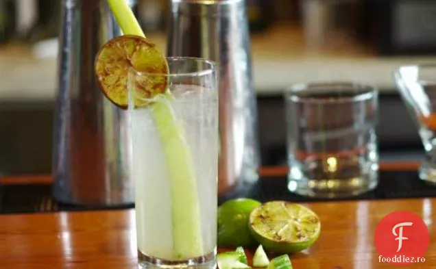 Gin și Tonic la grătar