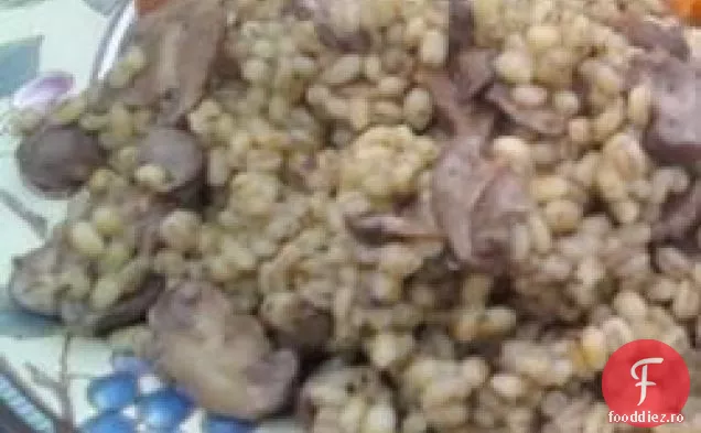 Risotto De Ciuperci De Orz