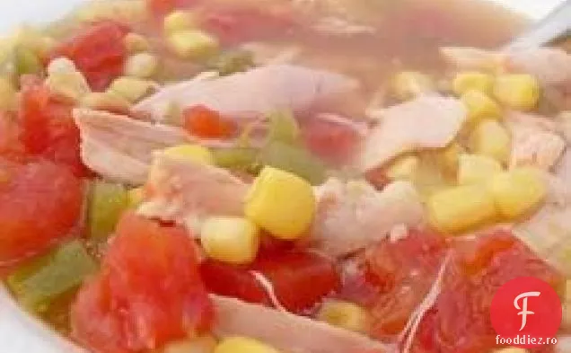 Supă de Tortilla II