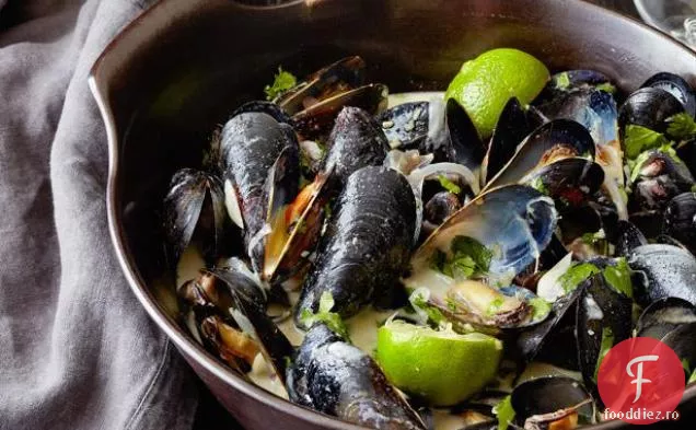 Nucă De Cocos-Curry Midii