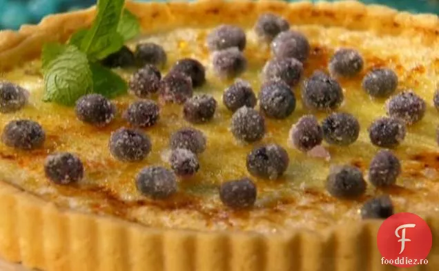 Afine Creme Brulee Tart