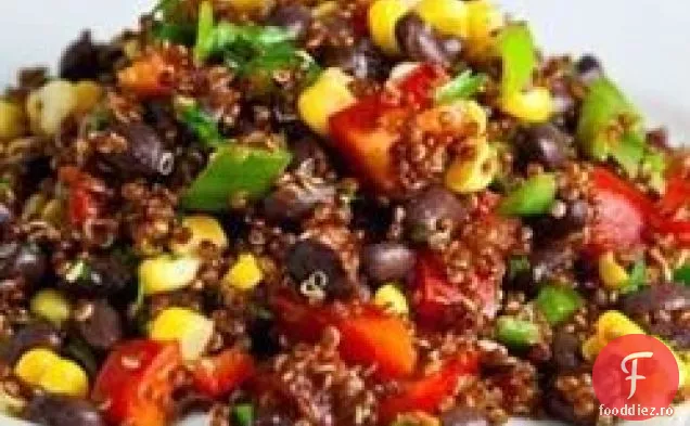 Quinoa mexicană cu vinetă de Cilantro