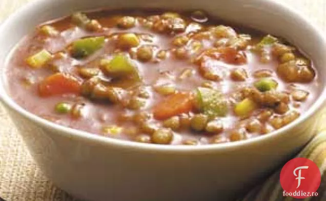 Supă consistentă de linte-vegetariană