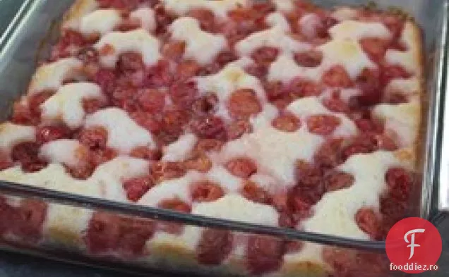 Tort De Budincă De Vișine