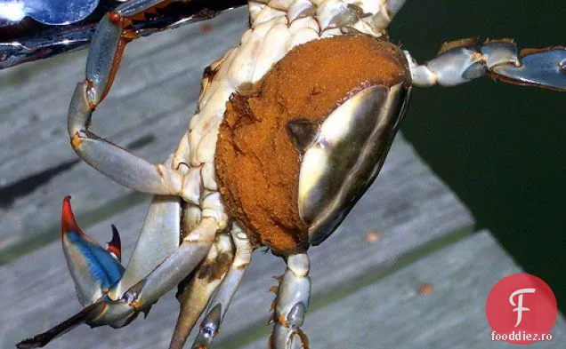 Gatiti cartea: supa de Crab Maryland