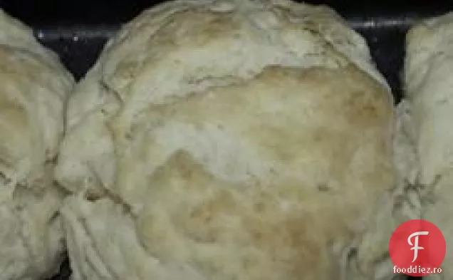 Biscuiți Din Georgia De Sud