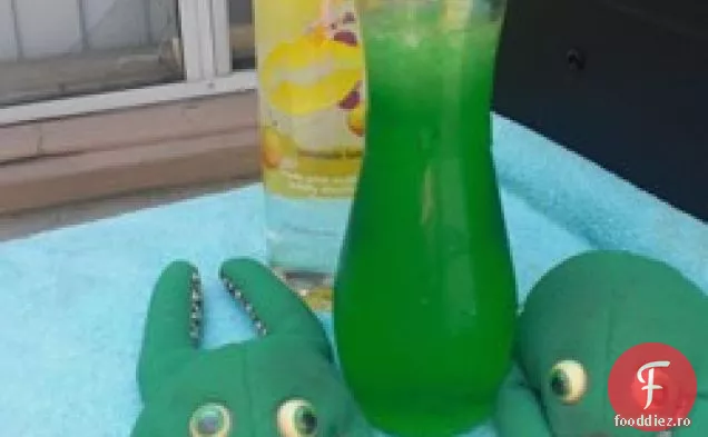 Bullfrogs