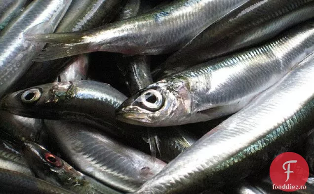 Gatiti Planificatorul de petreceri de carte: Paste cu sardine