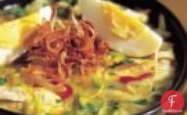 Supă Indoneziană Picantă De Tăiței De Pui
