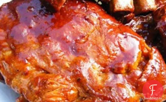 Aragaz Lent Barbeque Coaste
