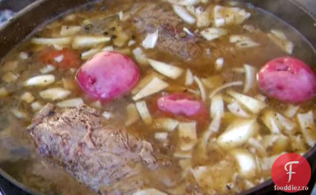 Olandeză Cuptor Confederate Oală Friptură