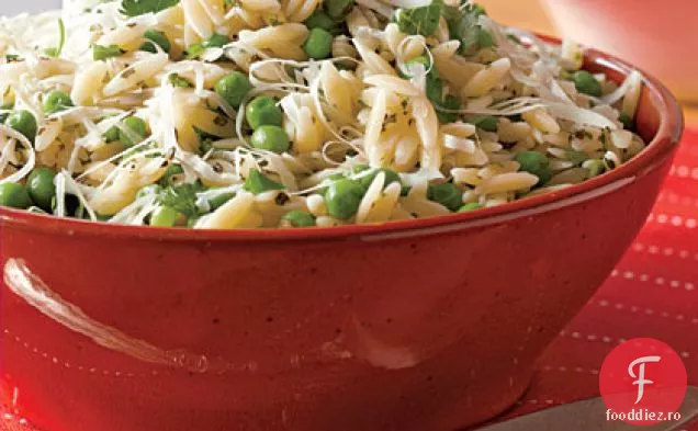 Paste Parmezan Orzo