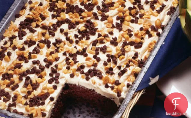 Tort Delicios De Arahide Cu Ciocolată