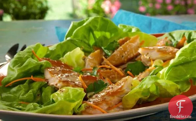 Salata de păstrăv afumată se înfășoară cu sos de lămâie Meyer și morcovi