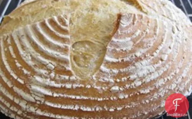 Pâine De Țară Franceză