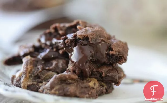 Ciocolată Bucată Unt De Arahide Vârtej Fudgy Cookie-Uri