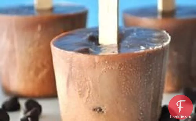 Dublu Ciocolata Congelate Fudge Pops
