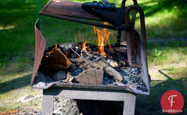 Kabobs De Arahide Cu Orez De Nucă De Cocos