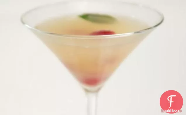 Serena ' s Sake-tini