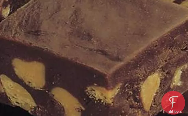 Ciocolată Unt De Arahide Chip Fudge