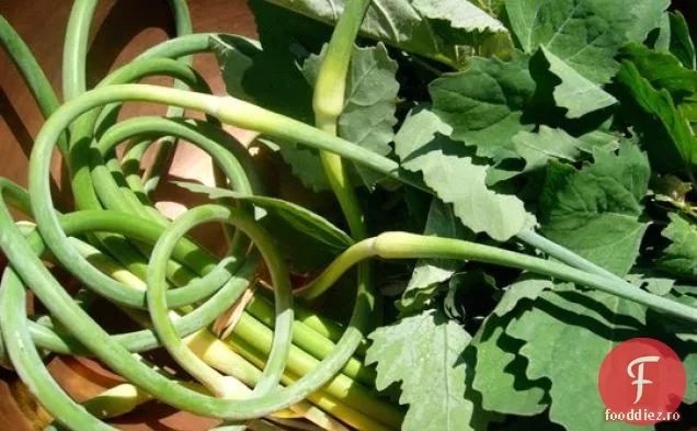 De ce fac cumpărături la Farmers Markets